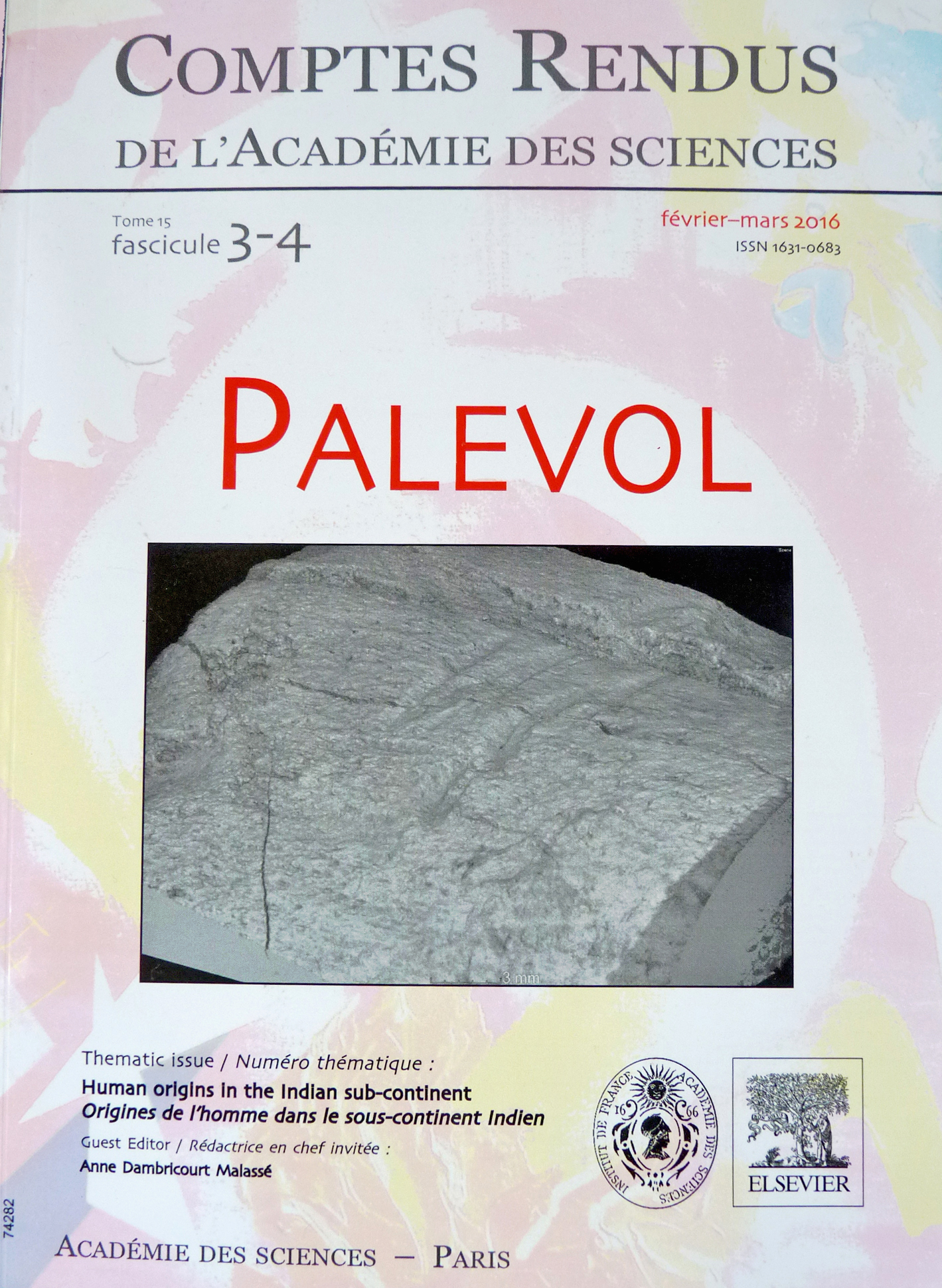 cover_paleval